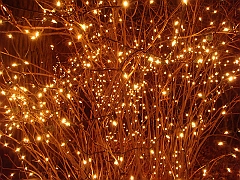 029 Toledo Zoo Light Show [2008 Dec 27]